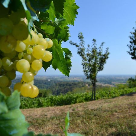 Country House Bucaneve Rovolon Εξωτερικό φωτογραφία