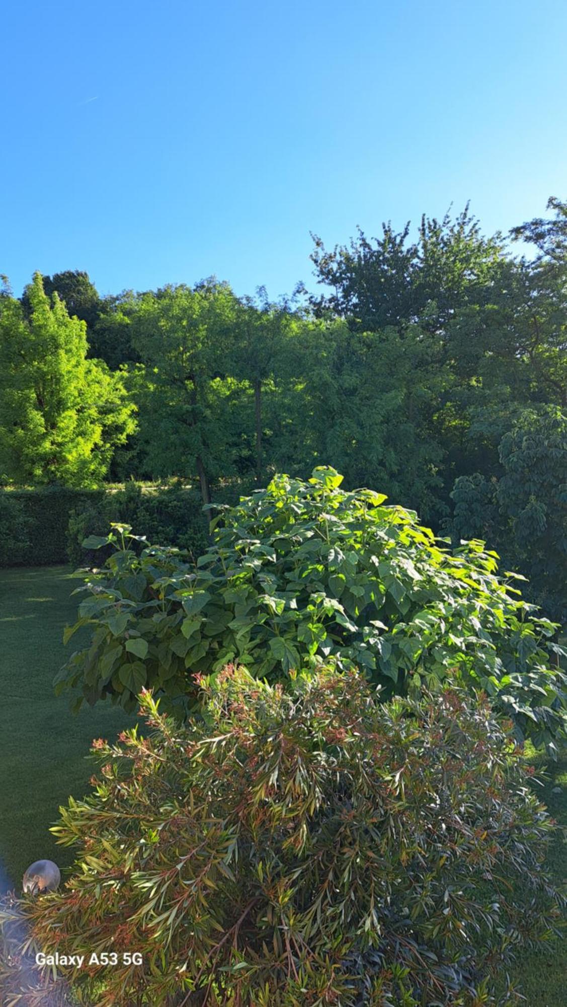 Country House Bucaneve Rovolon Δωμάτιο φωτογραφία