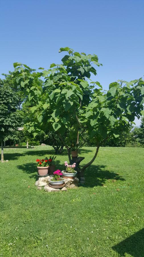 Country House Bucaneve Rovolon Εξωτερικό φωτογραφία